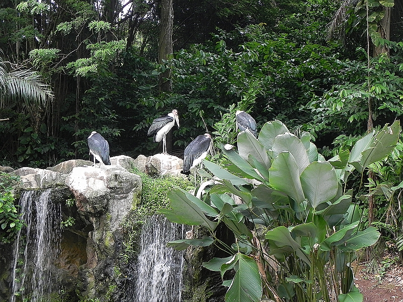 DSCN3744.JPG