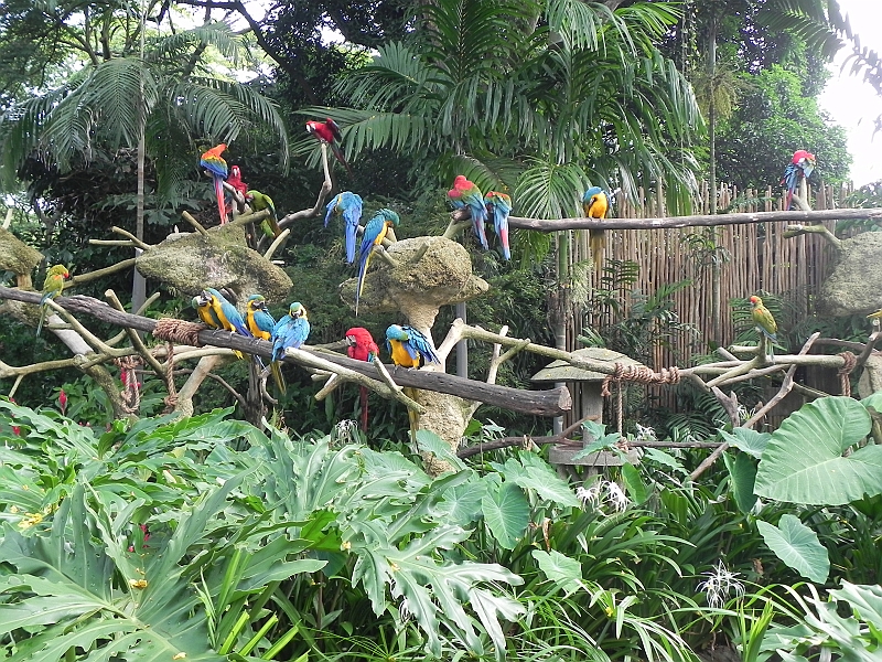 DSCN3751.JPG