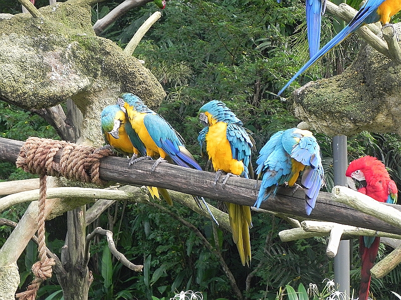DSCN3753.JPG