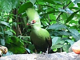 CIMG6659