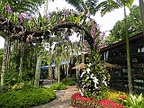 DSCN3675
