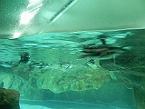 DSCN3676