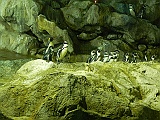 DSCN3681