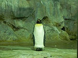 DSCN3682