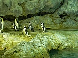 DSCN3686