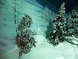 DSCN3691