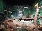 DSCN3693