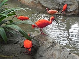 DSCN3695