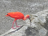 DSCN3698