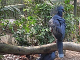 DSCN3702