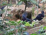 DSCN3705