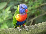 DSCN3710