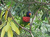 DSCN3711