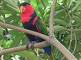 DSCN3712