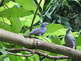 DSCN3720