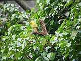 DSCN3721