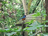 DSCN3729