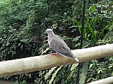 DSCN3732
