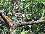 DSCN3736