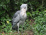 DSCN3742