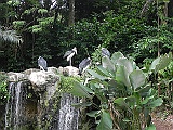 DSCN3744