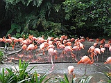 DSCN3749