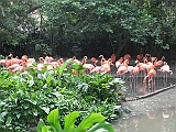 DSCN3750