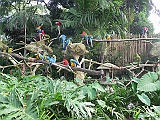 DSCN3751