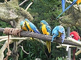 DSCN3753