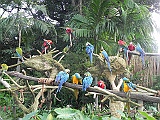 DSCN3755