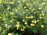 DSCN3929