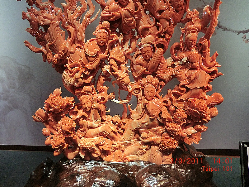 CIMG7000.JPG