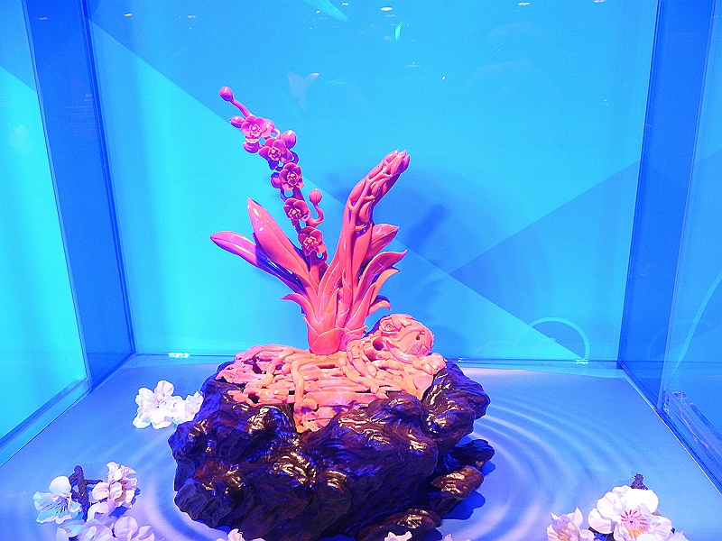DSCN4155.JPG