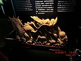 CIMG6997