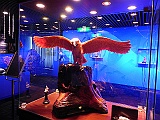 DSCN4153