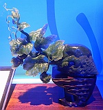 DSCN4157