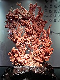DSCN4159