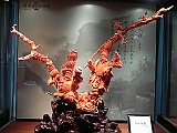 DSCN4163