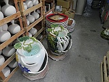 DSCN4554