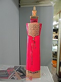 DSCN4566
