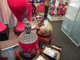 DSCN4576