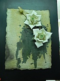 DSCN4581