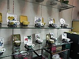 DSCN4584
