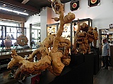 DSCN4588