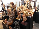 DSCN4593