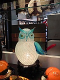 DSCN4597