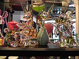 DSCN4600