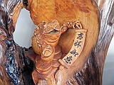 DSCN4607