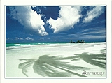 White_Beach