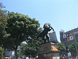 CIMG3915